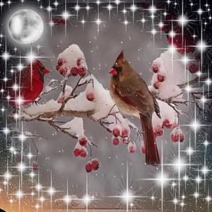 Meet your Posher, Thea